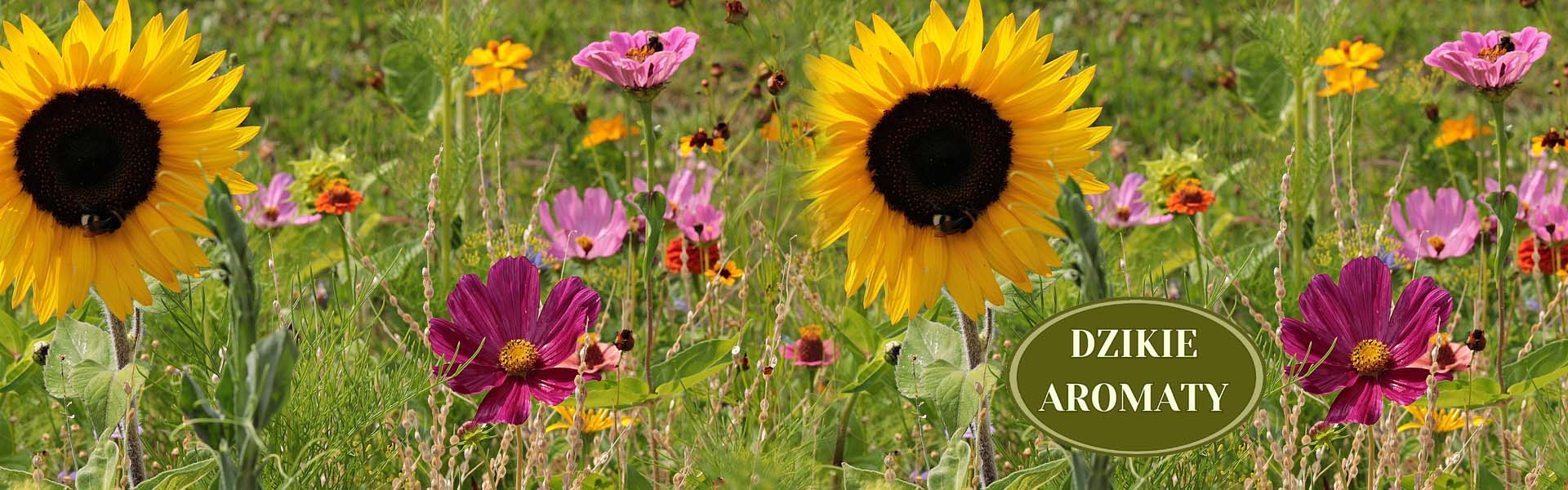 Chwasty i Badyle Chwasty i Badyle