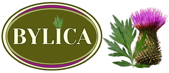 Bylica Net Bylica Net